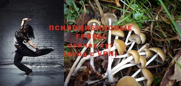 хмурый Майский