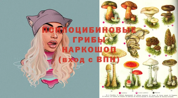 прущая мука Магадан