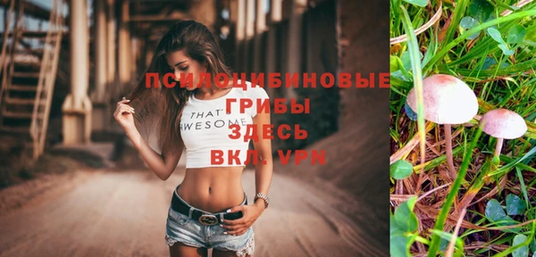 спайс Магас