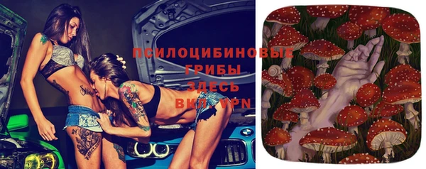 спайс Магас