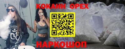 шишки Кингисепп