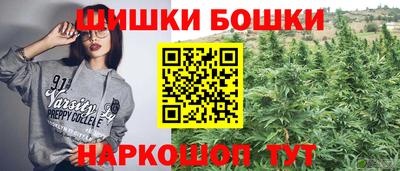 шишки Кингисепп