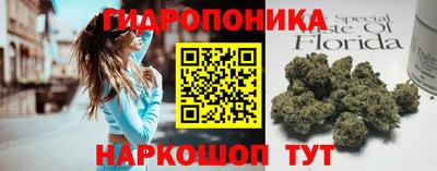 шишки Кингисепп