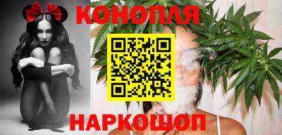 шишки Кингисепп