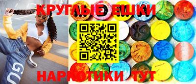 шишки Кингисепп