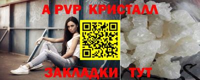 шишки Кингисепп