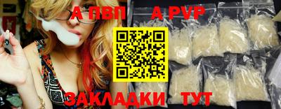 шишки Кингисепп