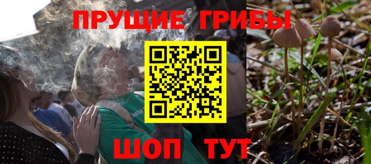 Галлюциногенные грибы Magic Shrooms  Вход с VPN  Лосино-Петровский 