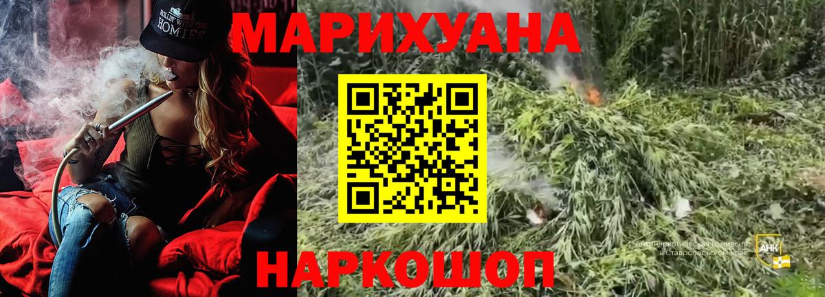 Шишки марихуана марихуана Лосино-Петровский